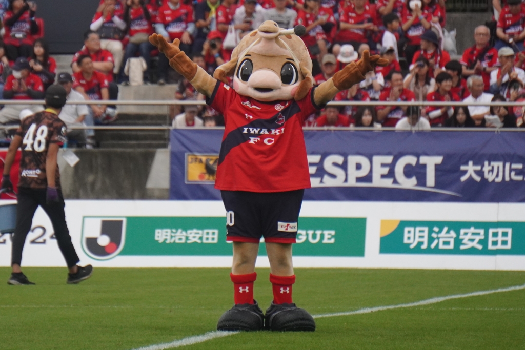 いわきFCの動けるかわいいマスコット！Qoly編集部が撮影したハーマー＆ドリーの写真を公開｜写真10