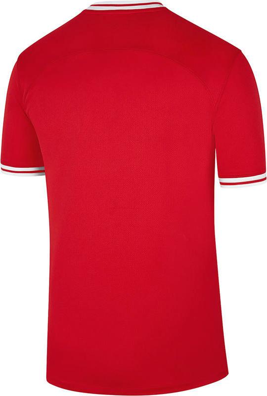 ポーランド代表、カタールW杯に向けた新ユニフォームを発表！袖に“鷲グラフィック”｜写真5