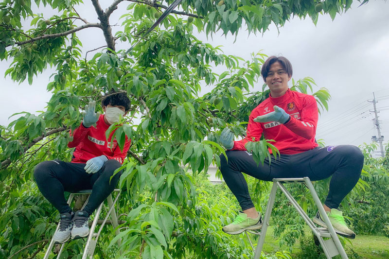 福島ユナイテッド、今年も桃ユニフォームを発表！「希望と結実」を優しく描く｜写真3