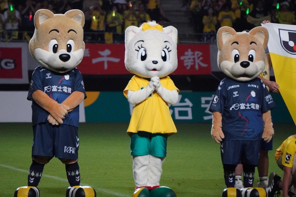 かわいすぎる！J2ジェフユナイテッド千葉に復帰したみなちゃんの写真を公開｜写真6