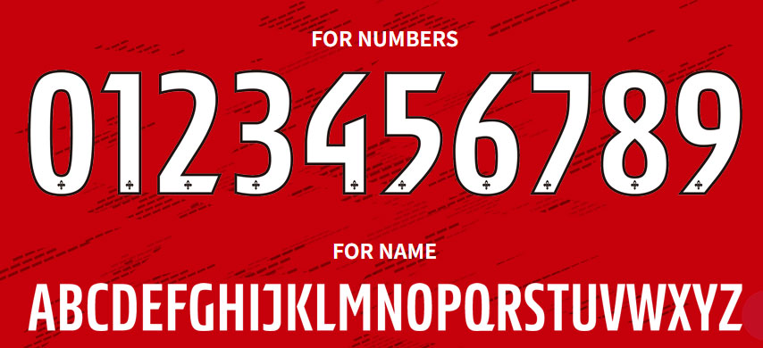 胸にNEWスポンサー！ツエーゲン金沢が2024新ユニフォームを発表 「Zデザイン」でJ2復帰を目指す｜写真8