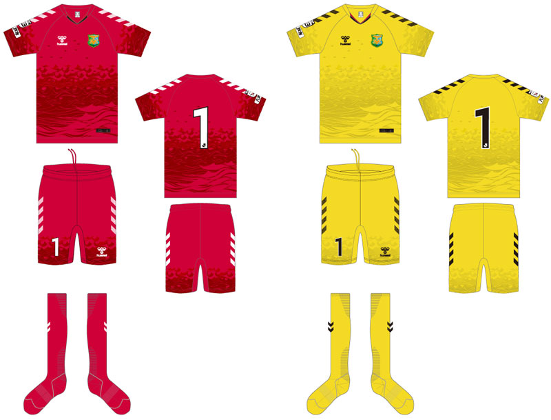 ヴァンラーレ八戸、「浮世絵風デザイン」の2023新ユニフォームを発表！｜写真5