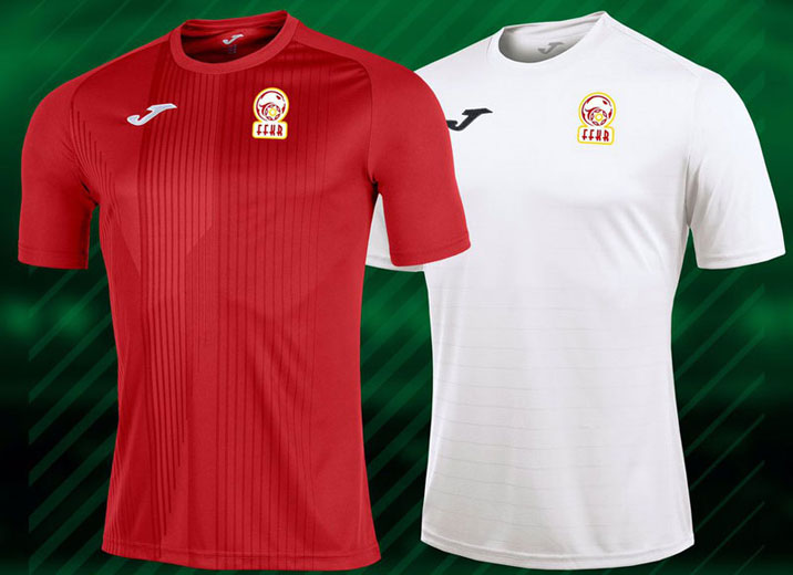 ついに開幕！アジアカップ2019「出場全24か国」ユニフォームまとめ｜写真22