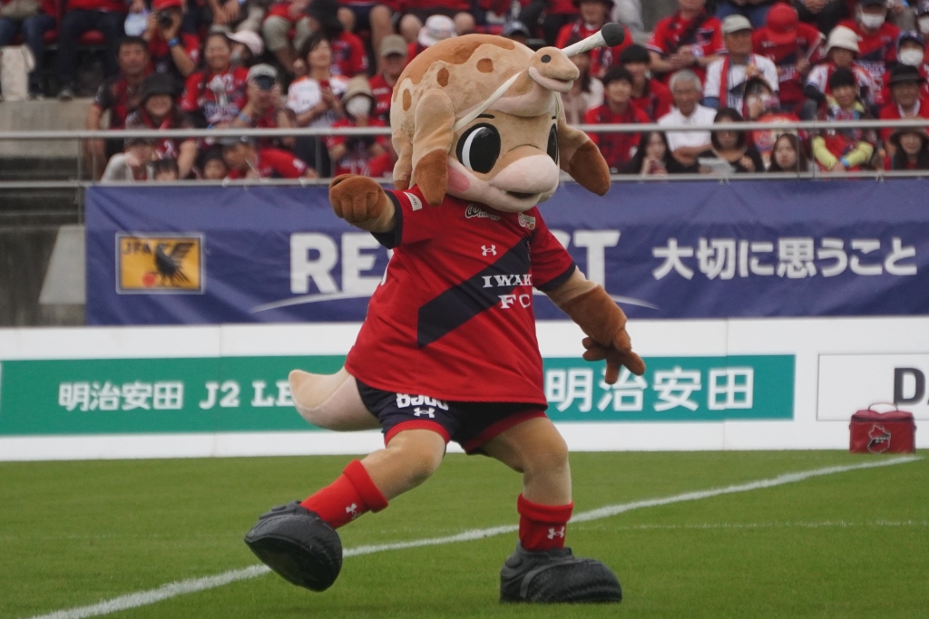 いわきFCの動けるかわいいマスコット！Qoly編集部が撮影したハーマー＆ドリーの写真を公開｜写真5