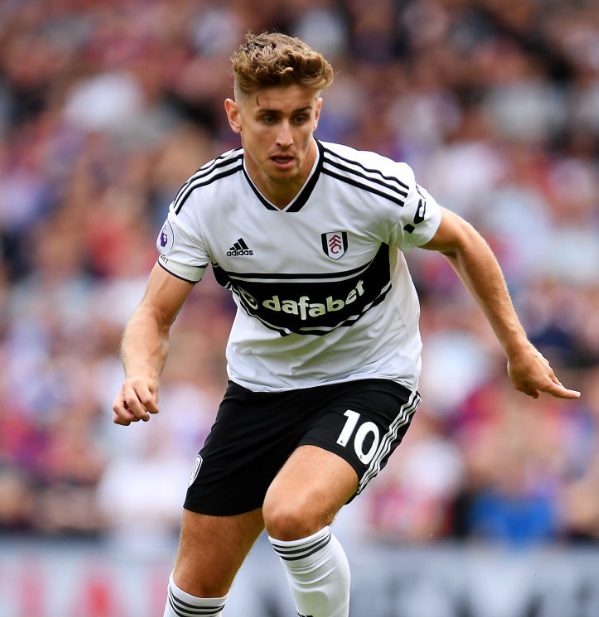 18-19プレミアリーグ！全20チームの「背番号10番」まとめ｜写真8