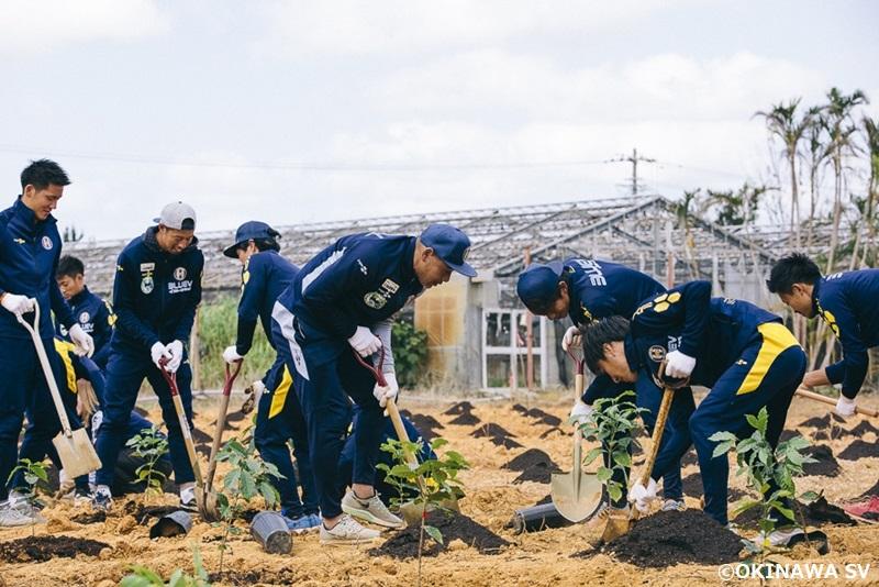 リアルサカつく！沖縄SVと高原直泰が「沖縄産コーヒー」をネスレ日本と共につくる理由｜写真7