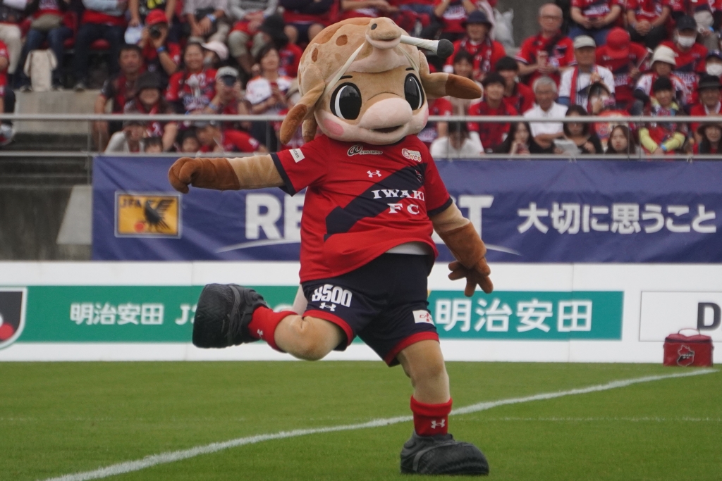 いわきFCの動けるかわいいマスコット！Qoly編集部が撮影したハーマー＆ドリーの写真を公開｜写真6