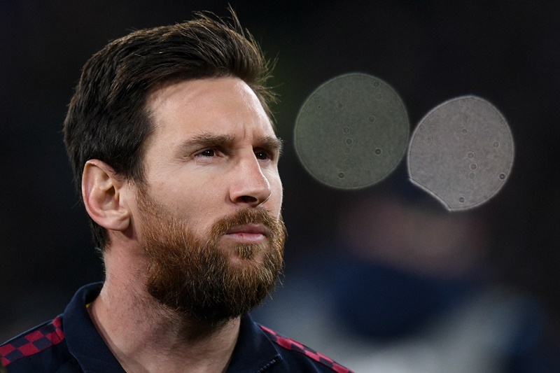 最新作『FIFA 21』、能力値の「TOP10」が判明！各数値がこれ｜写真10