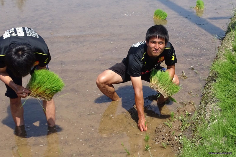 福島ユナイテッド、今年も「米ユニフォーム」発表！柔らかな和柄デザイン｜写真5