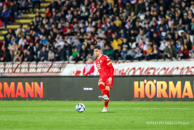 EURO予選で日本人女性がストイコヴィッチとセルビア代表を撮影した。『最高の被写体との真剣勝負』｜写真19